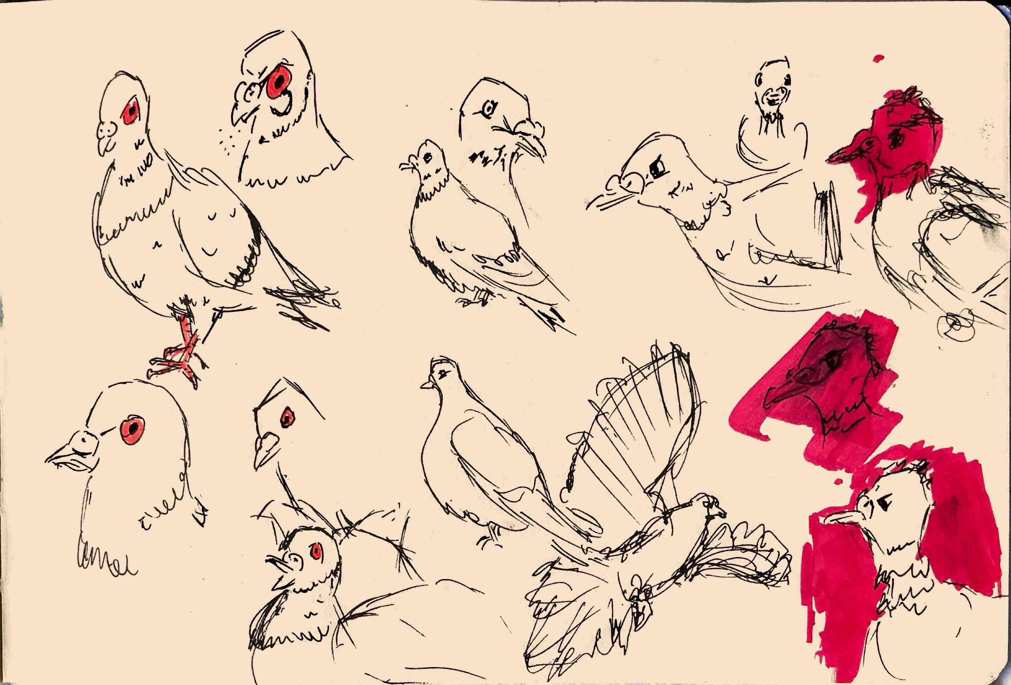 Palomas