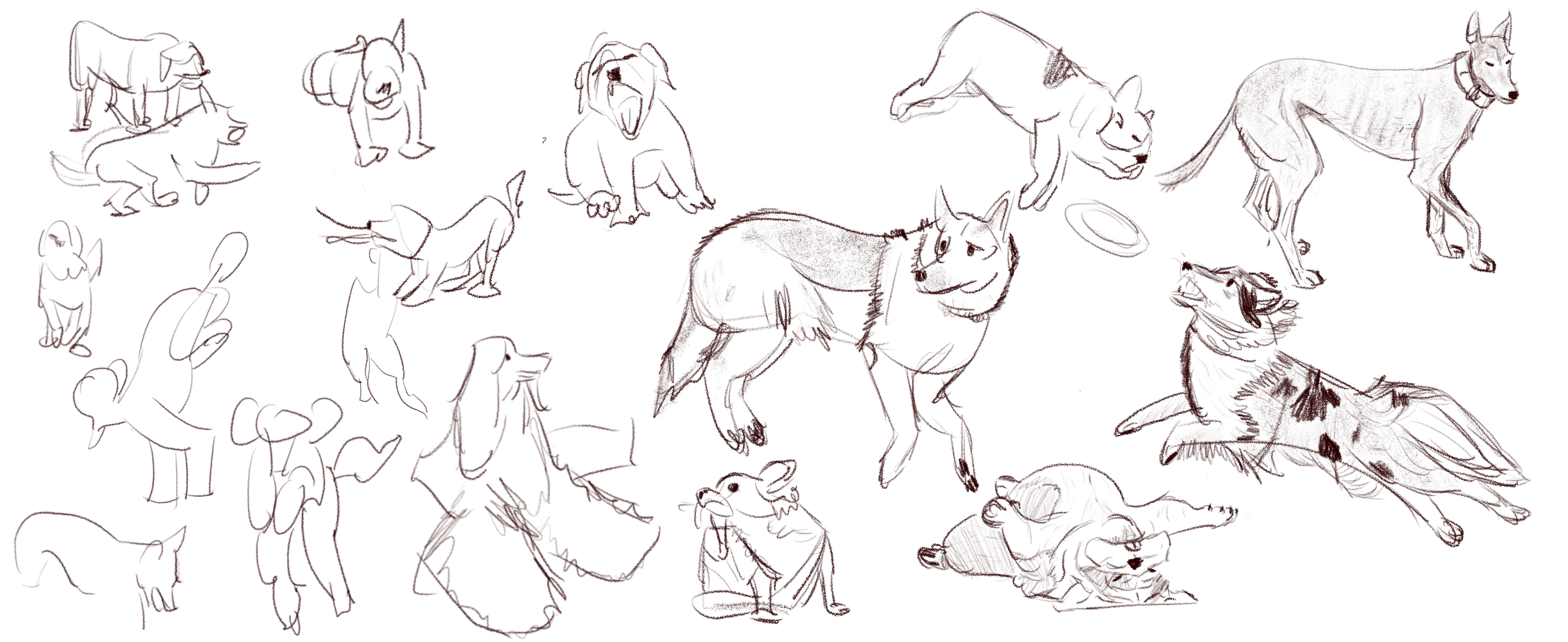 Perros